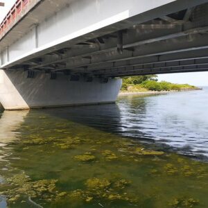 令和2年度　第X521-2号　彦根近江八幡線補助道路修繕工事（下芹橋）